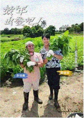 双城线双线叙事剧封面